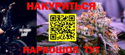 spice Кунгур