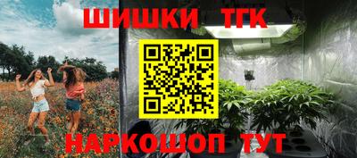 СК Лесосибирск