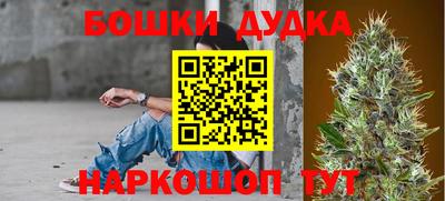 СК Лесосибирск