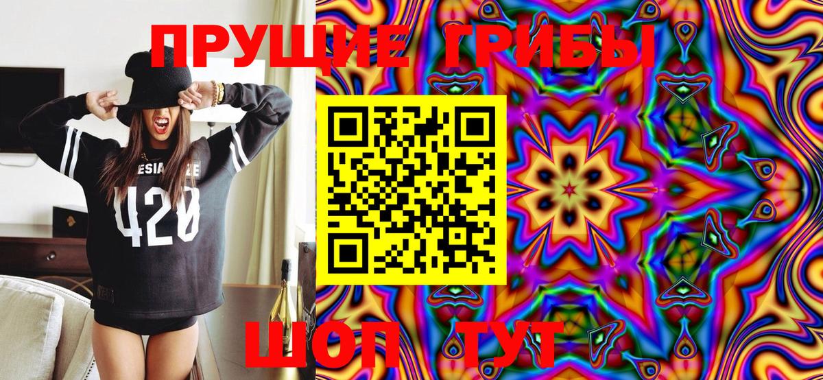 Арзамас  Галлюциногенные грибы GOLDEN TEACHER  Псилоцибиновые грибы Psilocybe  Вход с VPN 