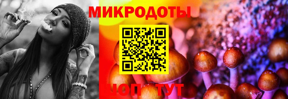 Псилоцибиновые грибы Cubensis Арзамас